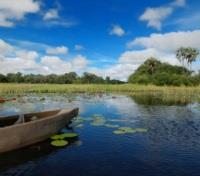 Mokoro Canoe in the Linyanti Marshlands